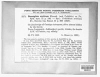 Image Associated With the Occurence